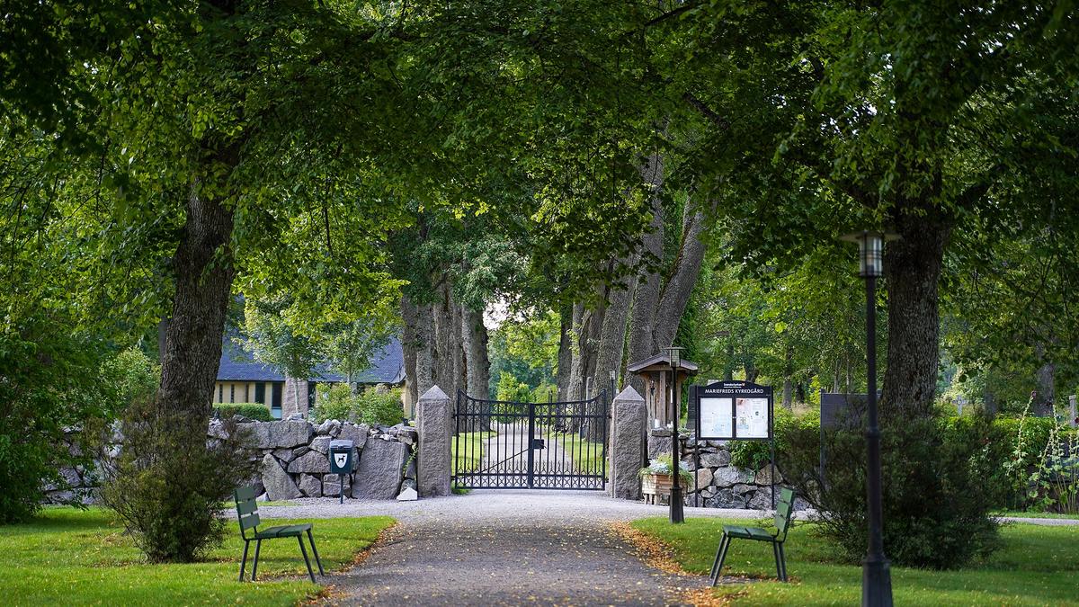 Tree-lined path to a cemetery gate